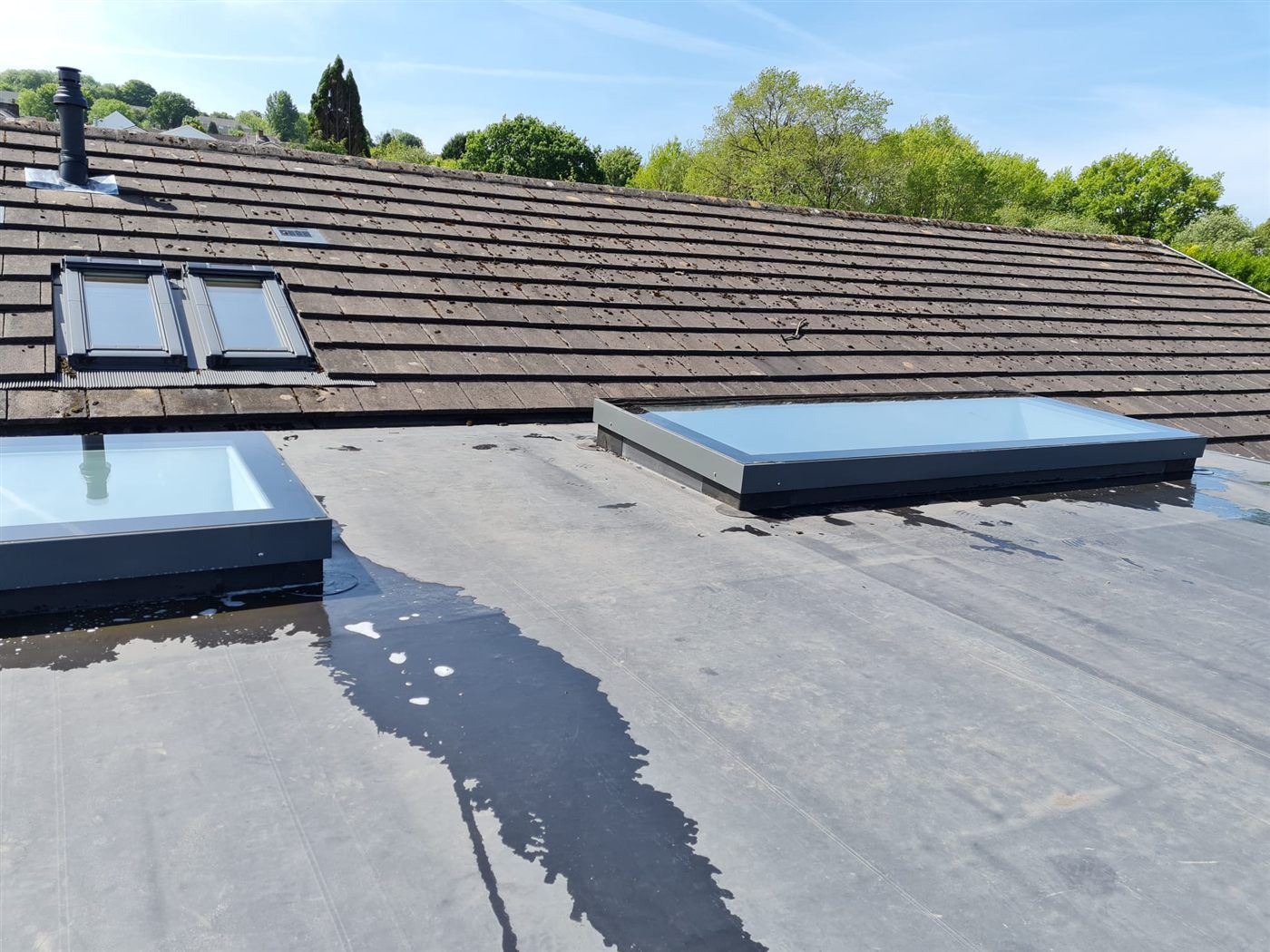 Clean rooflights reflecting a bright blue sky